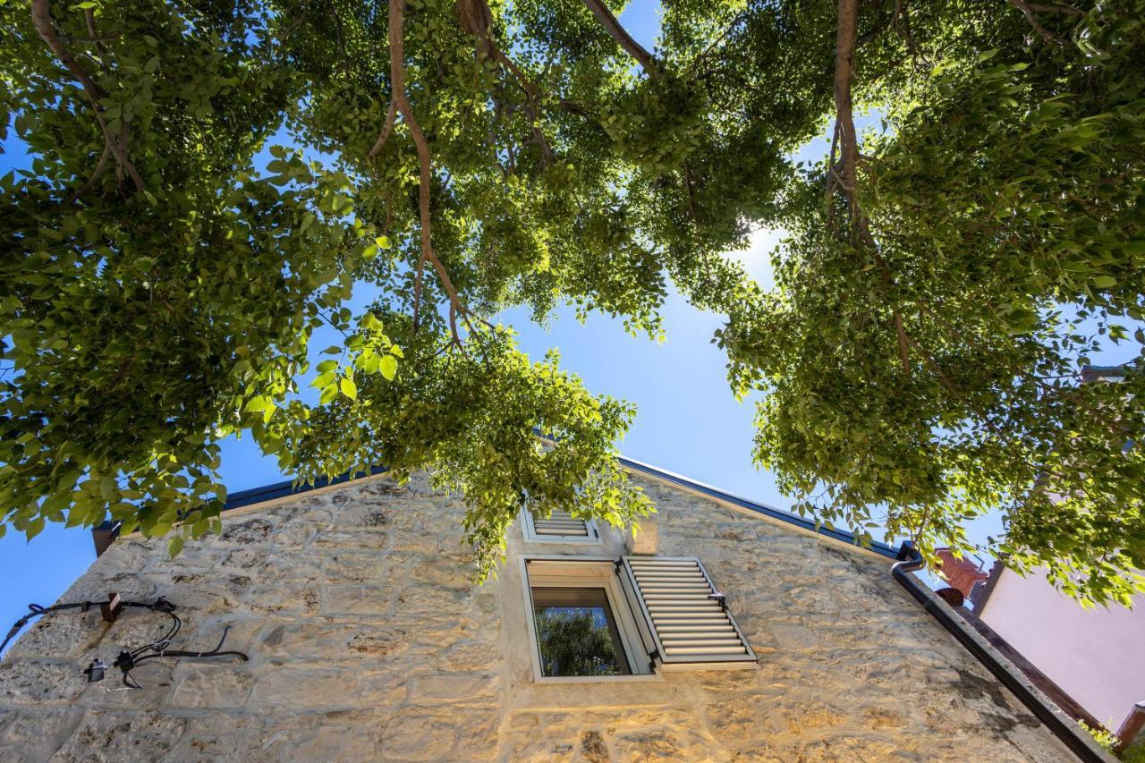 Apartments "Lory" -Baška Voda Exteriör bild